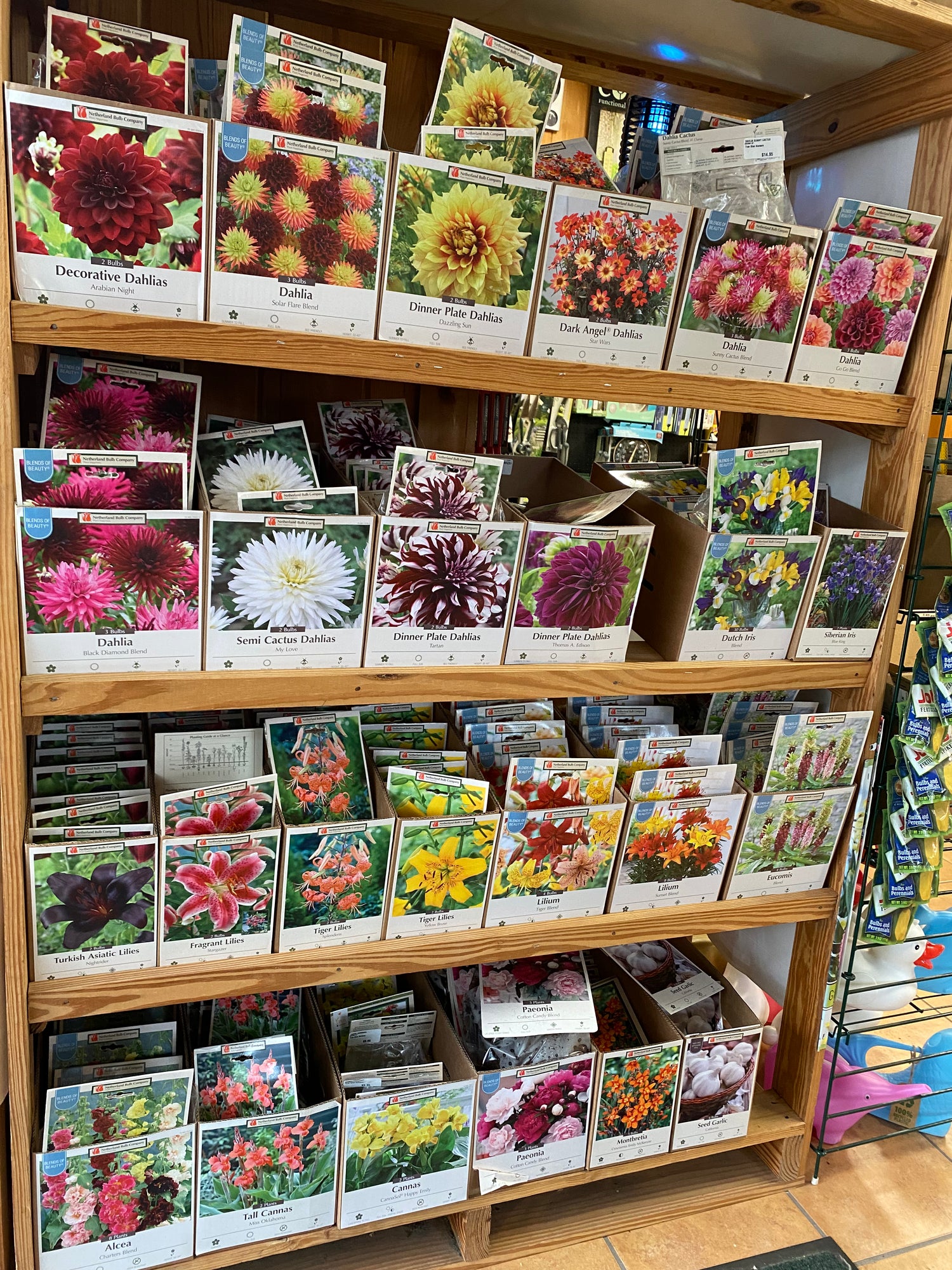 Garden Seeds