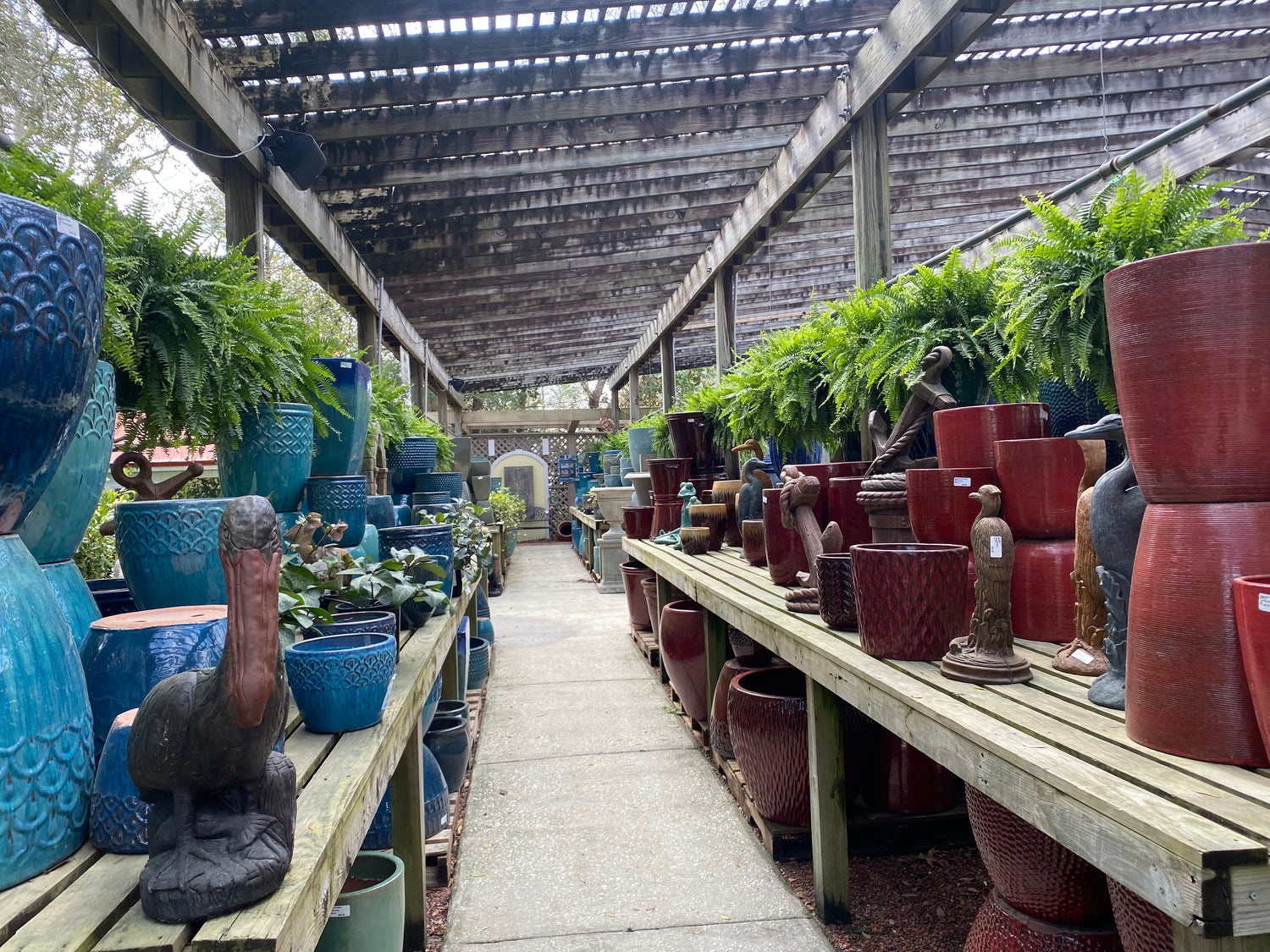 Pots & Planters