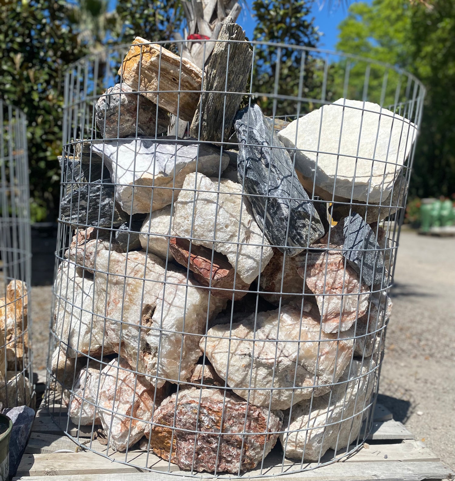 Imported Exotic Boulders