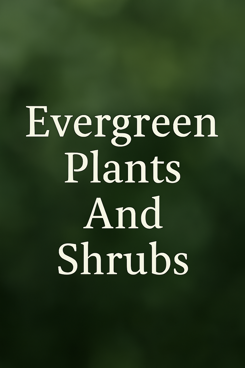 Evergreens Plants & Shrubs