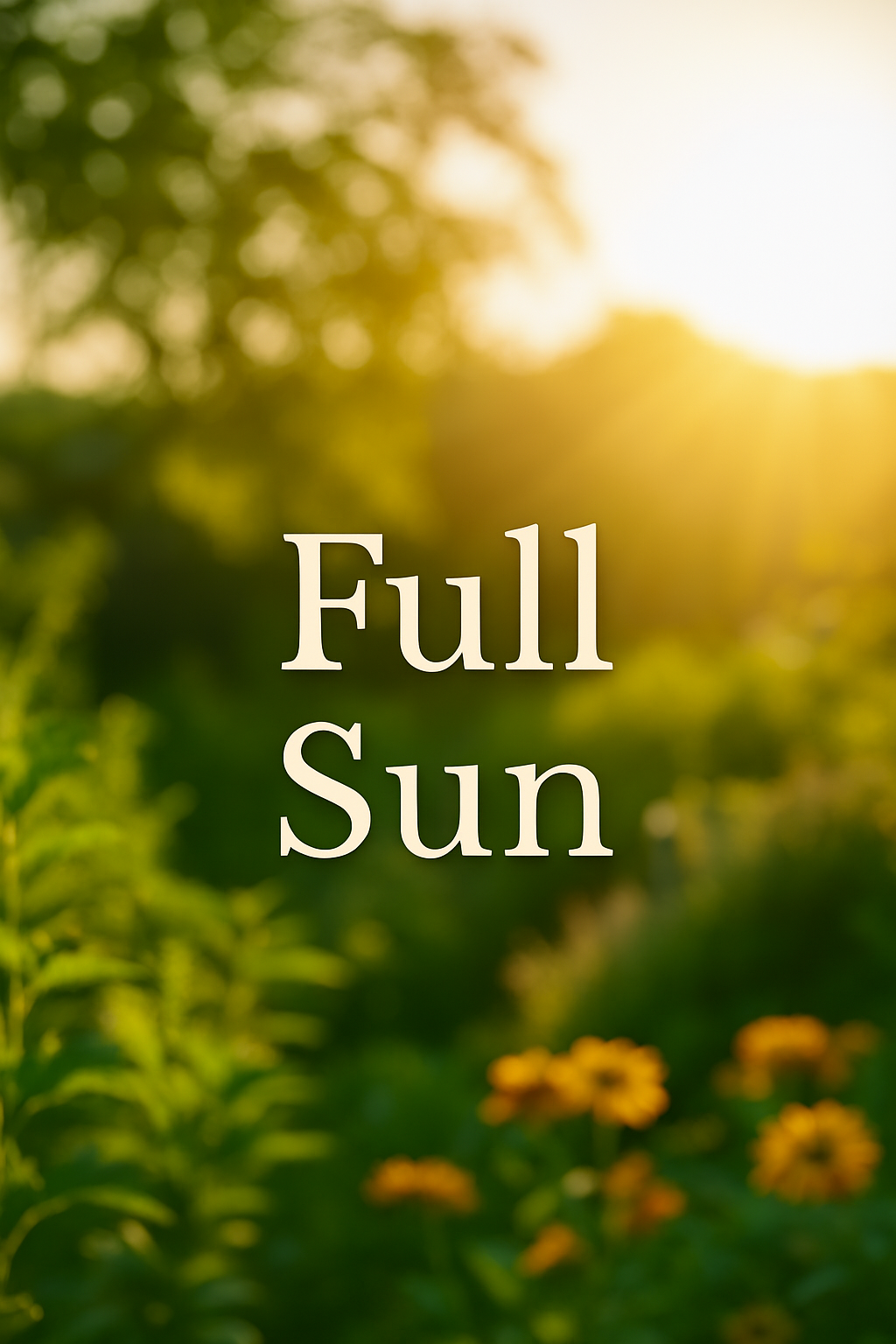 Full Sun