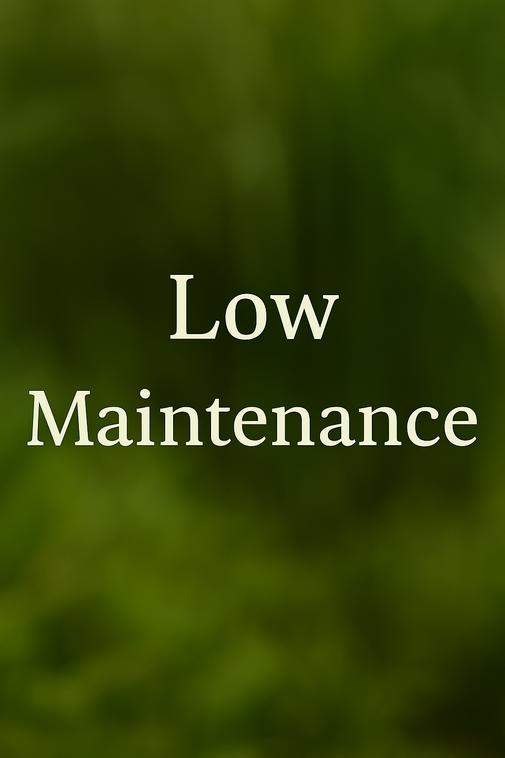 Low Maintenance