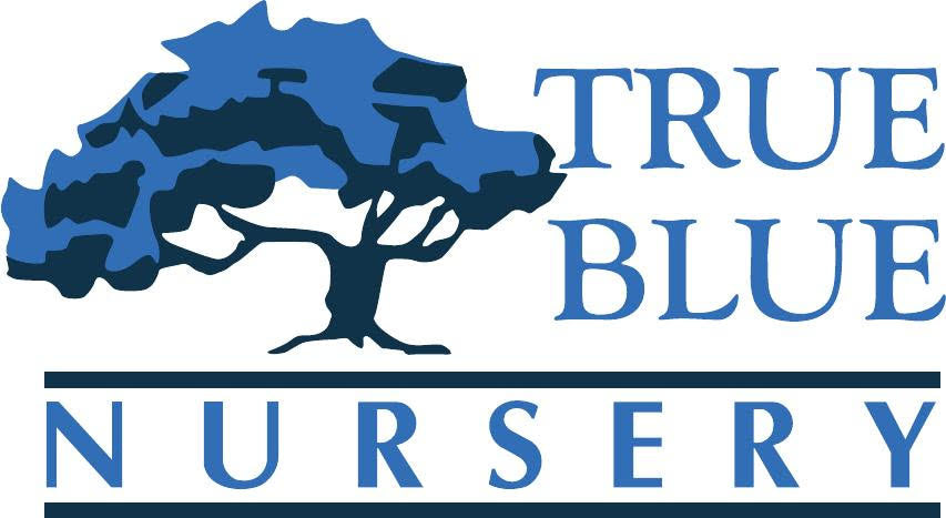 True Blue Nursery