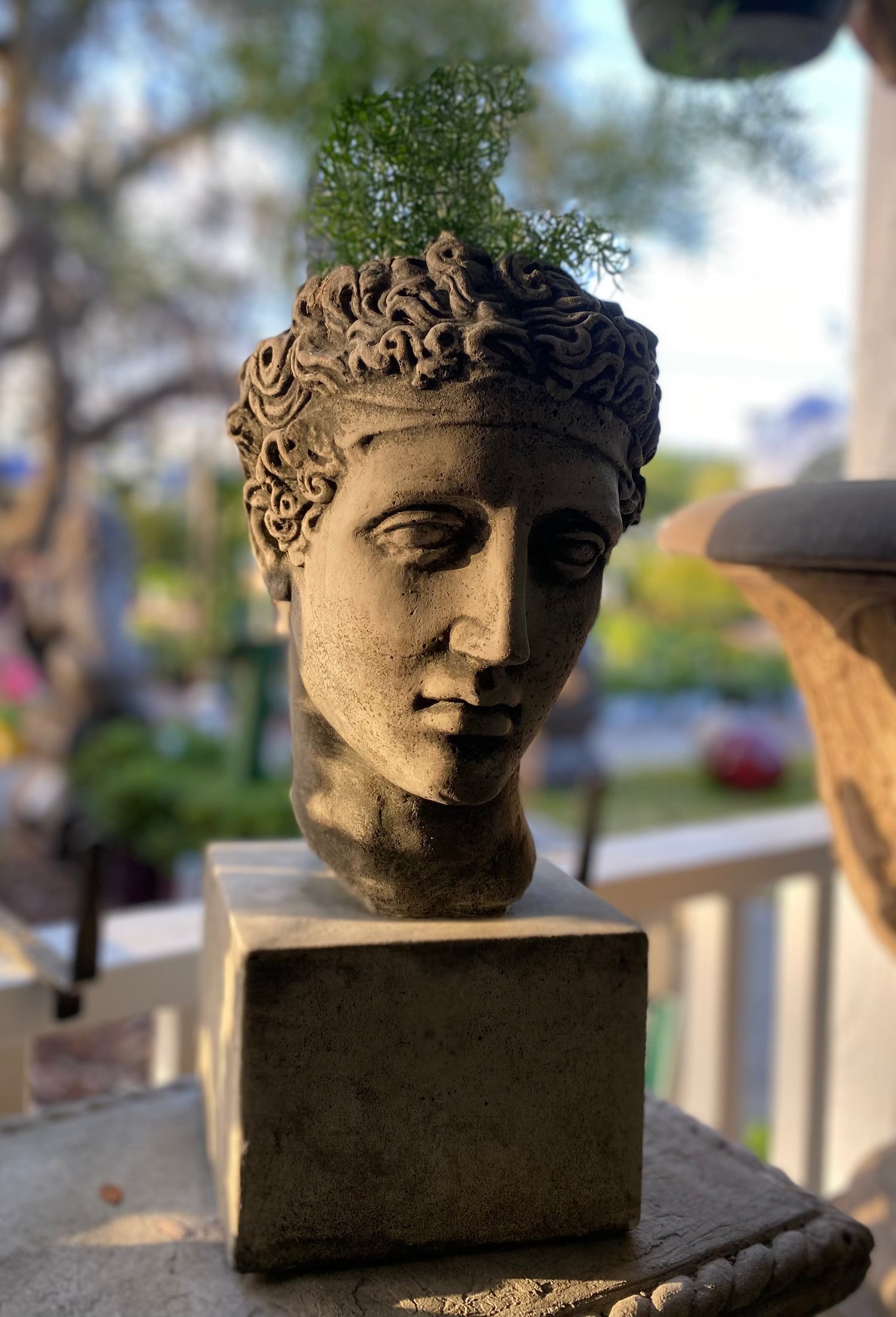 Athena's Garden Head Planter