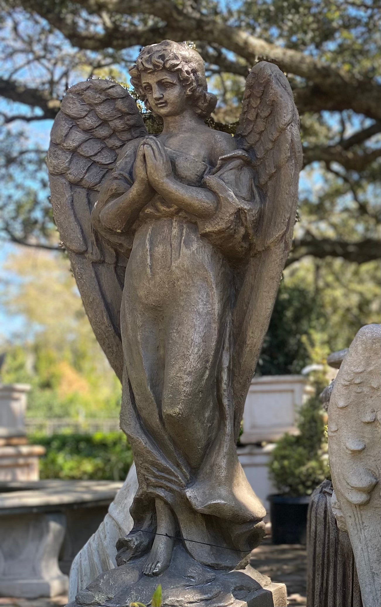Graceful Guardian Angel