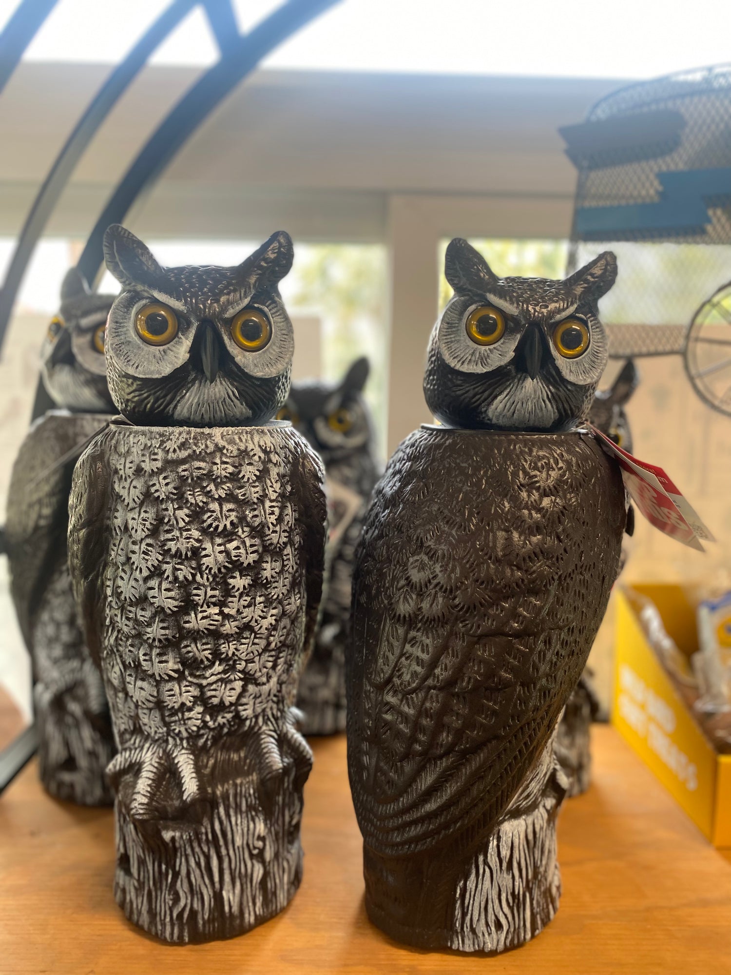 Realistic Spinning Head Owl Decoy