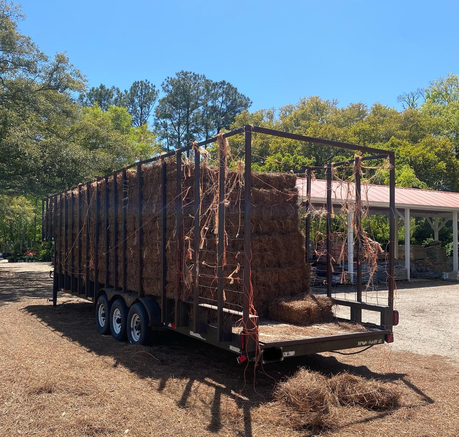 Pine Straw (Regular & Premium Options Available)