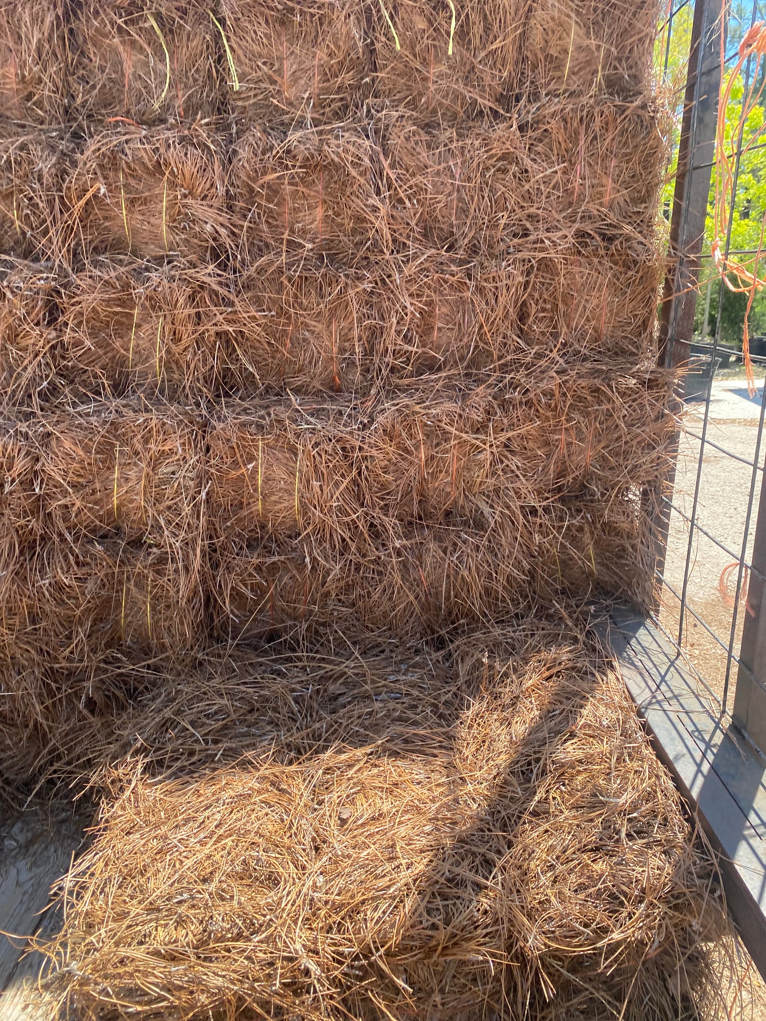 Pine Straw (Regular & Premium Options Available)