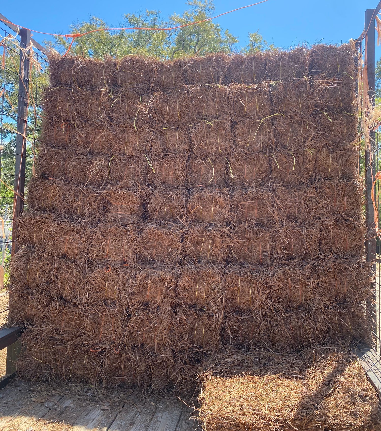 Pine Straw (Regular & Premium Options Available)
