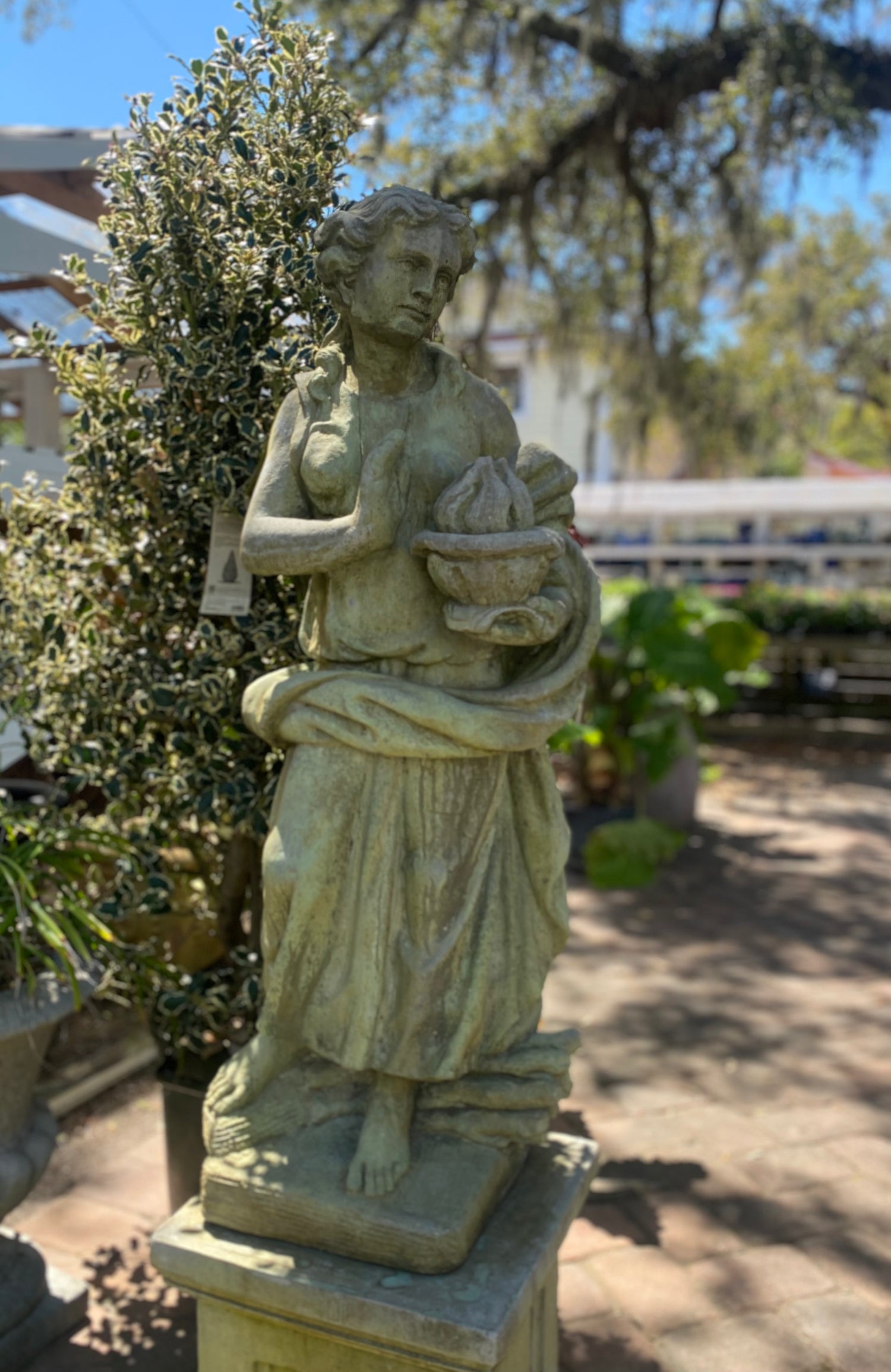 Harvest Maiden - Campania Garden Muse