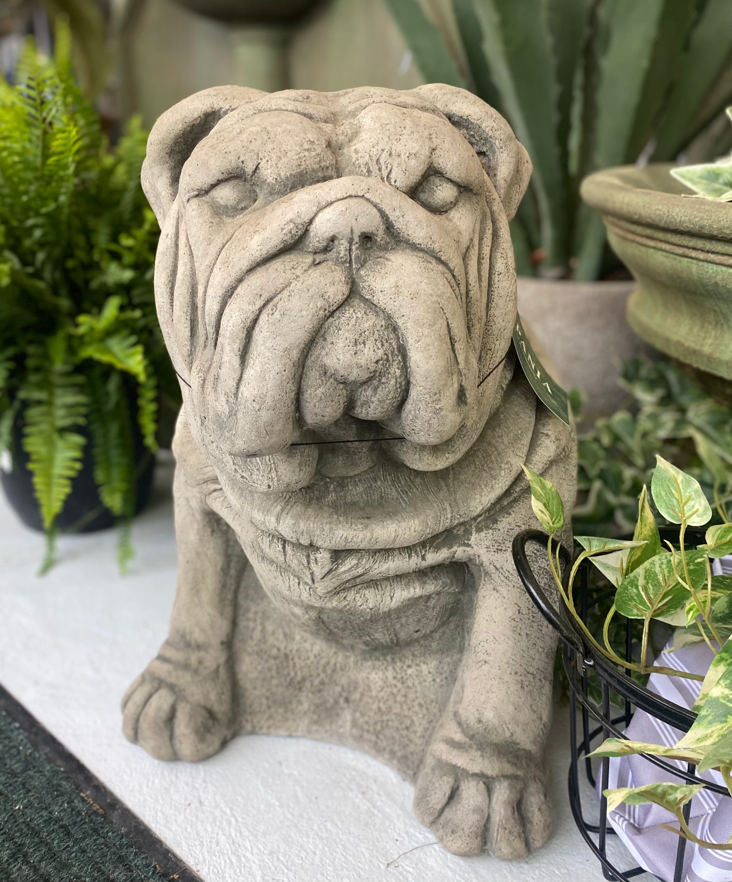 Antique Bulldog Statue - Cast Stone