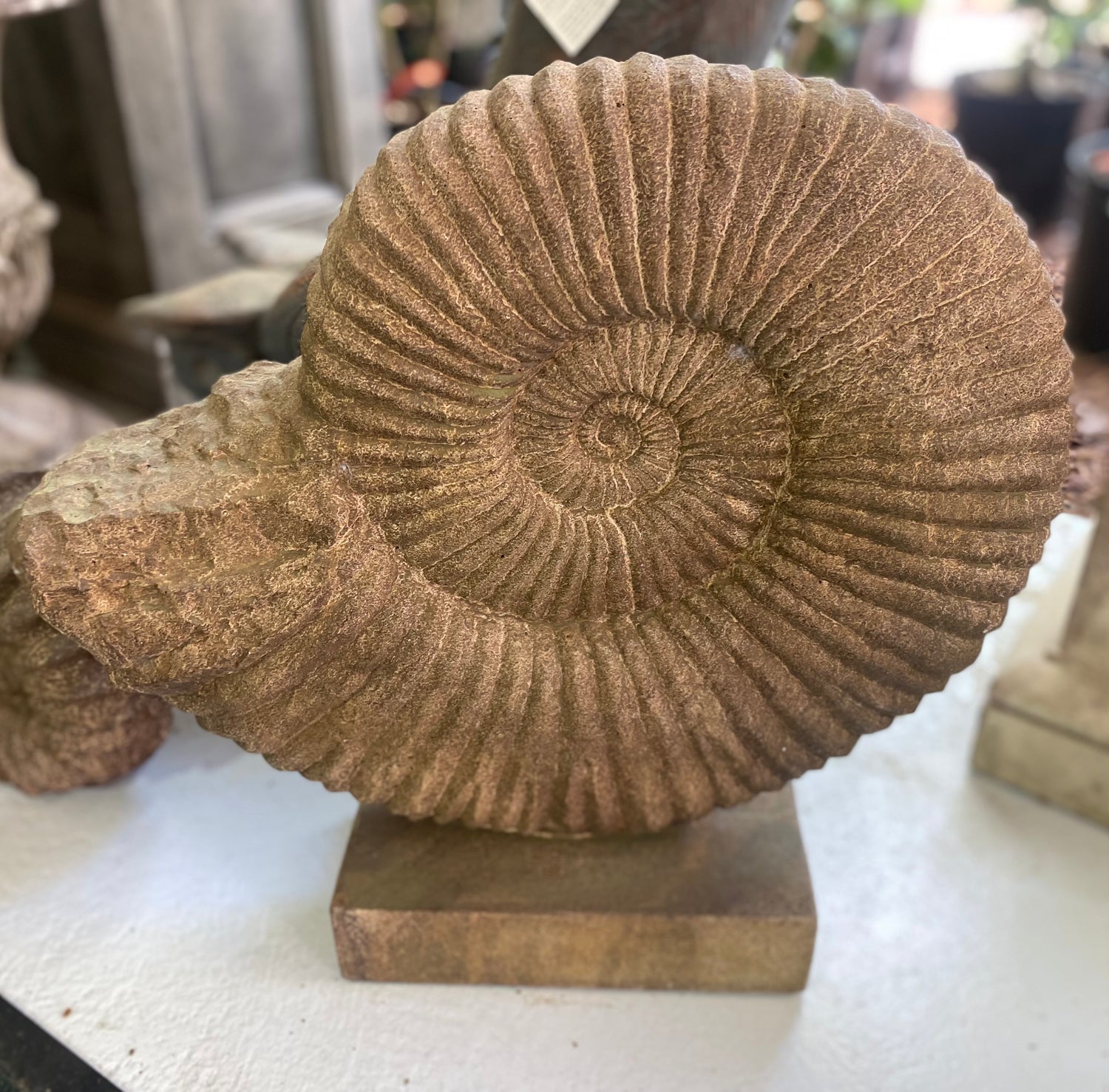 Fossilized Ammonite Garden Sculpture