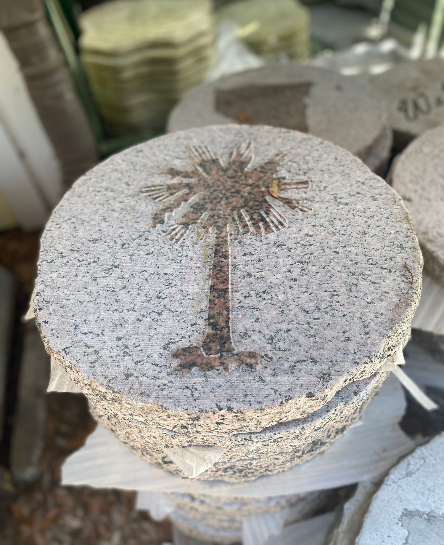 Palmetto Stepping Stones