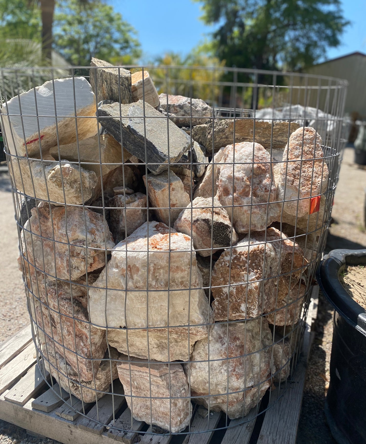Imported Exotic Boulders