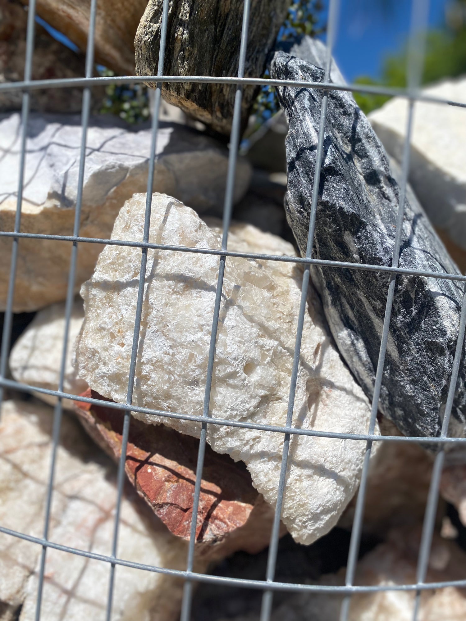 Imported Exotic Boulders