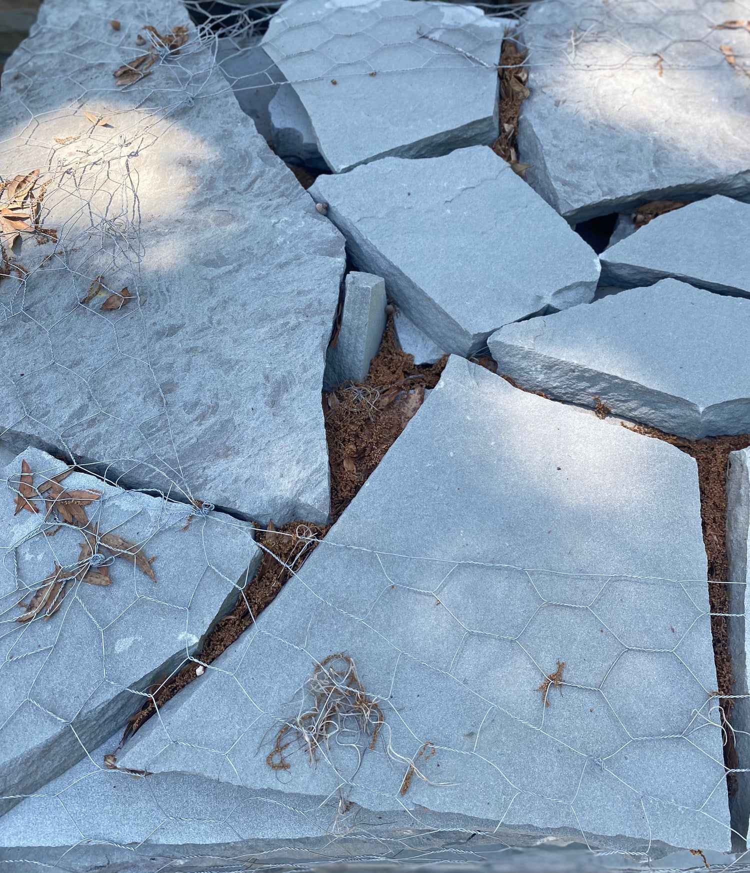 Colonial Blue Garden Path