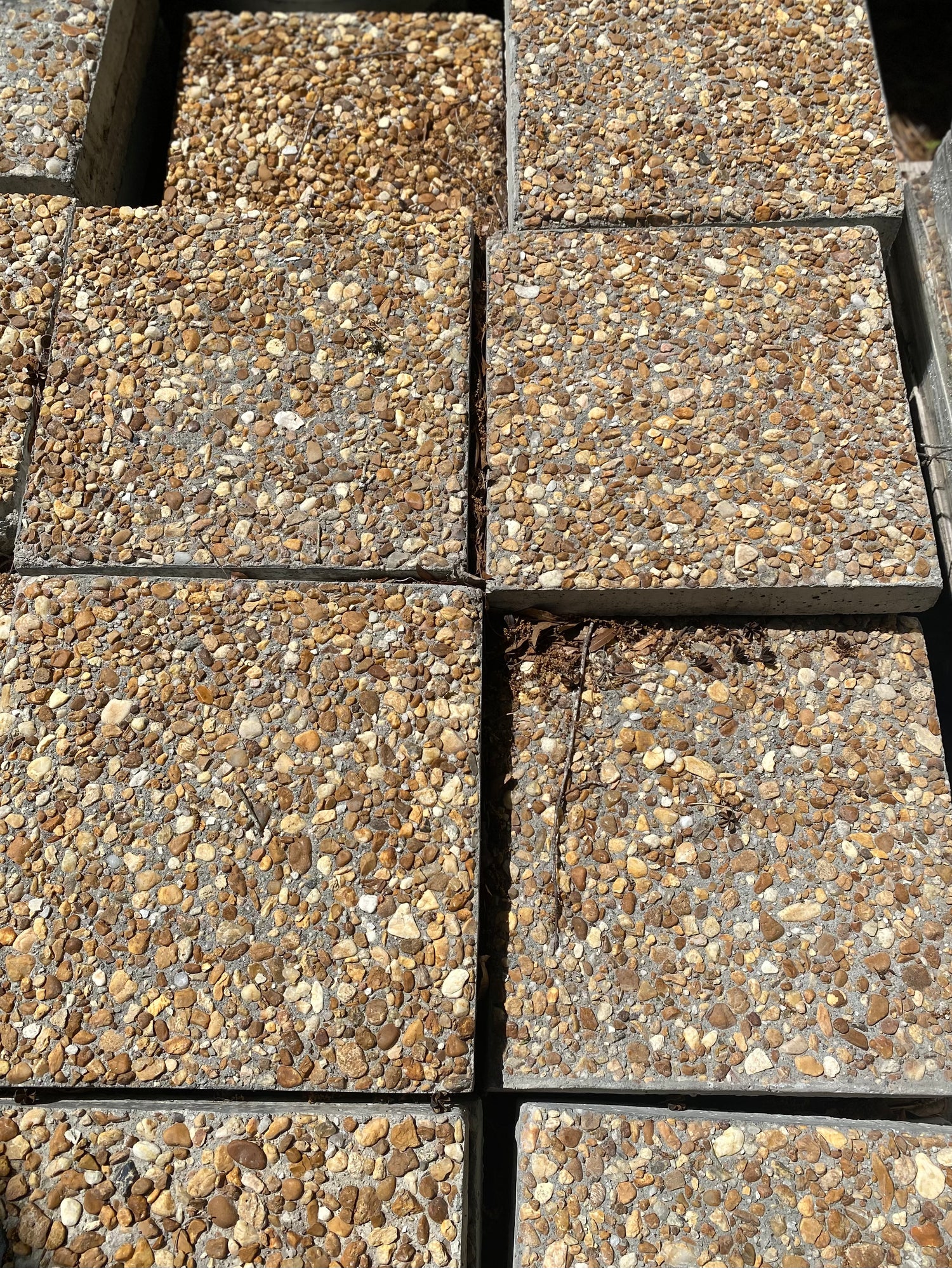 18" Large Tabby Stepping Stone (Square or Round)
