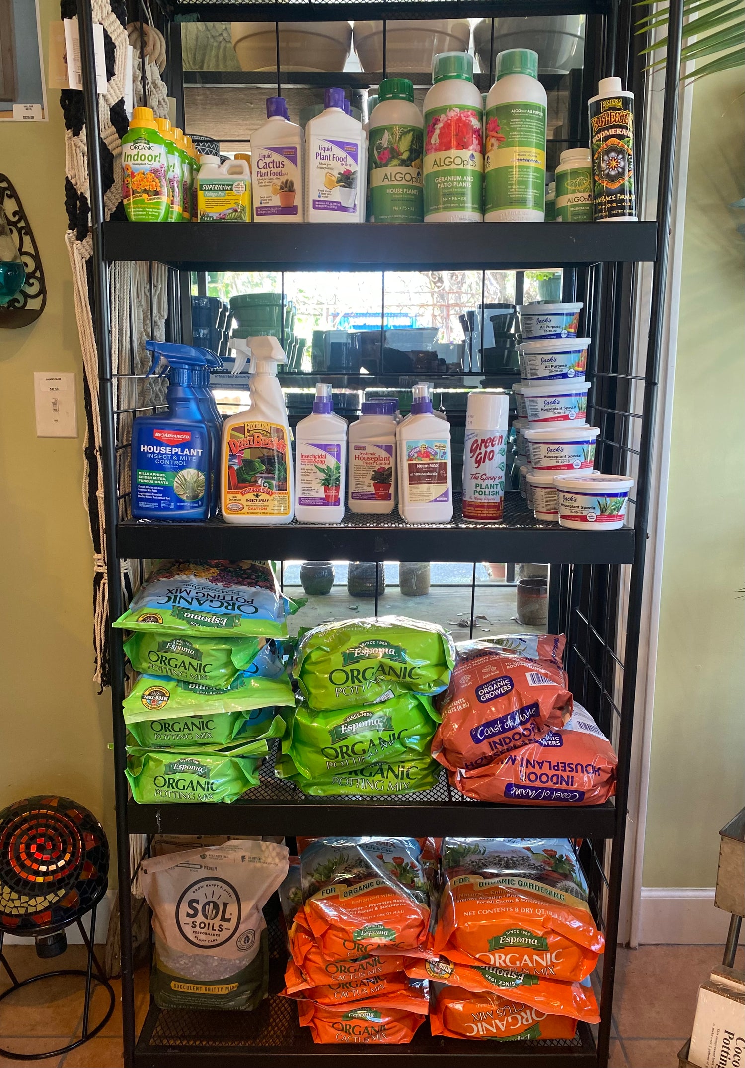 Indoor Plant Care & Organic Potting Essentials