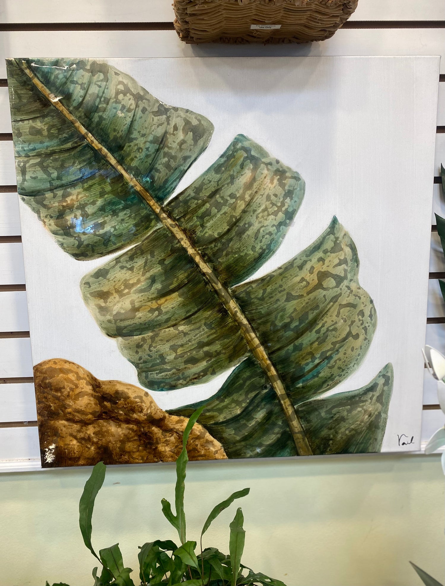 Tropical Banana Leaf Wall Art