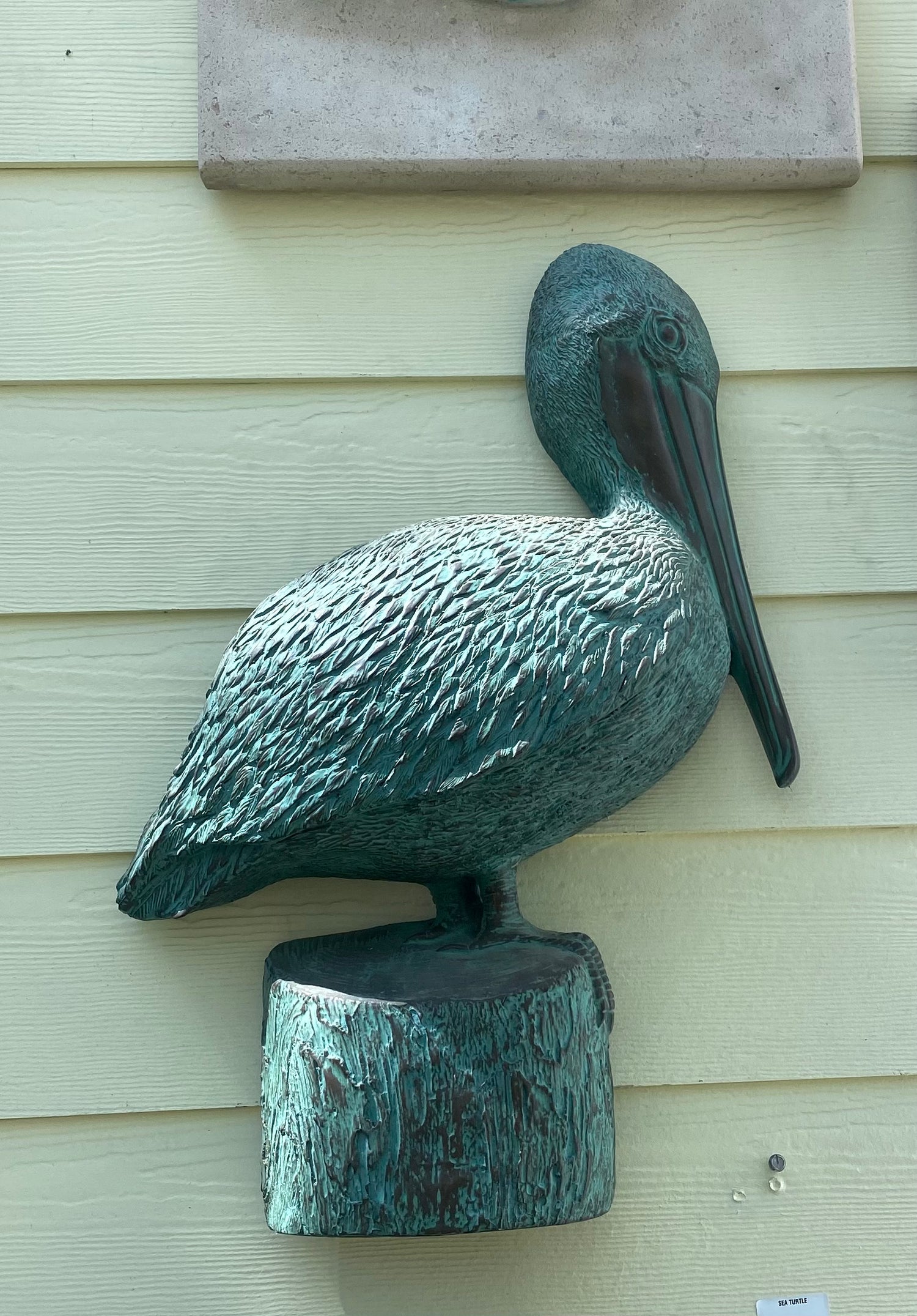 Pelican Coastal Wall Art