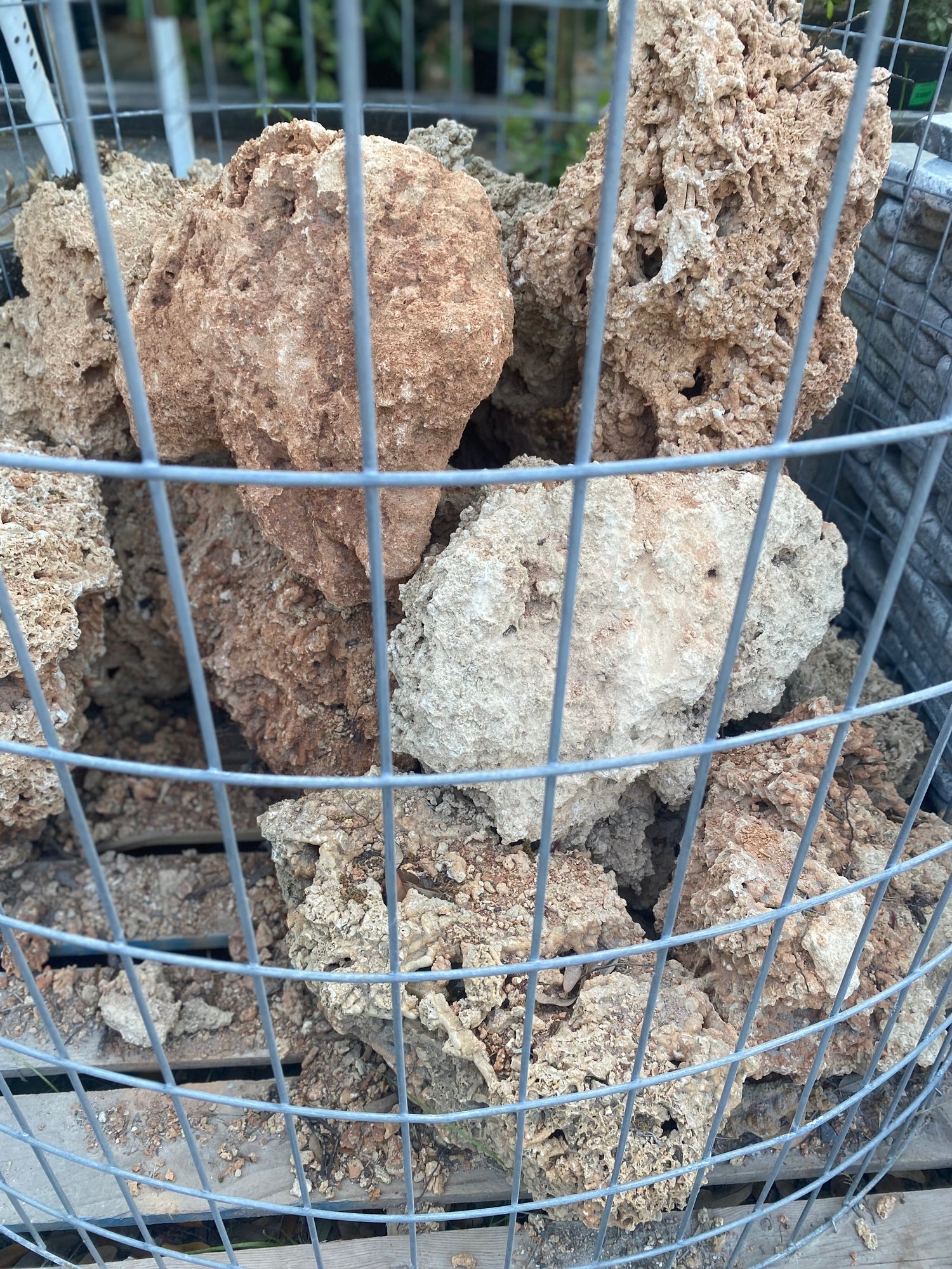 Spaghetti Rock