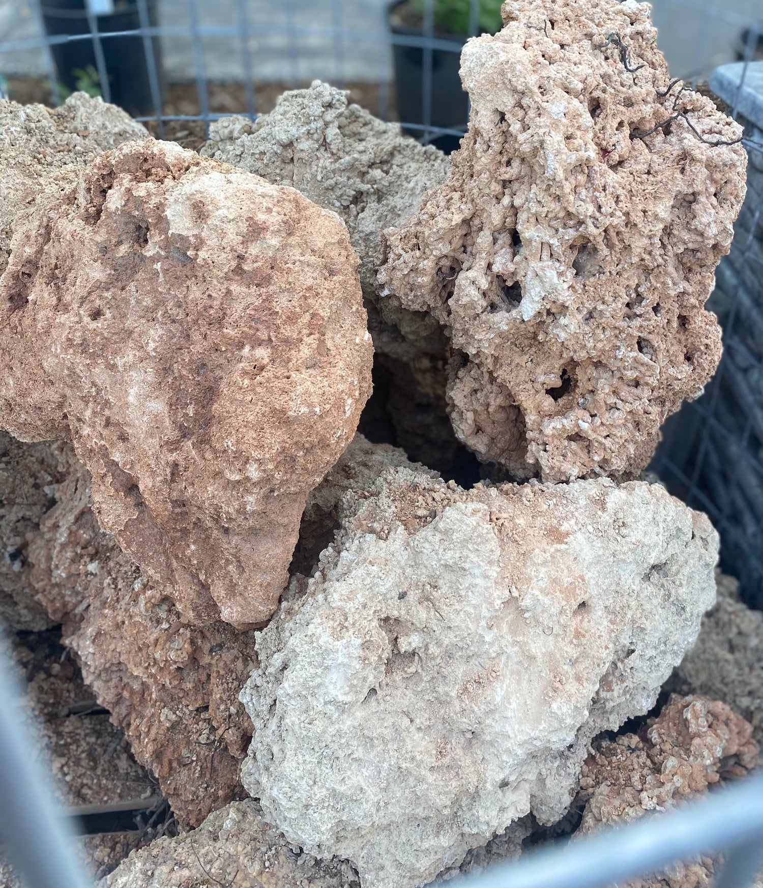 Spaghetti Rock